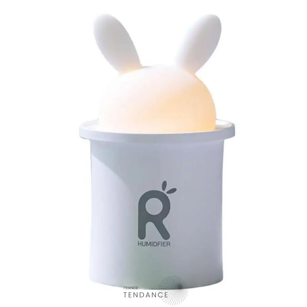 Diffuseur D’huiles Essentielles Cosy | France-Tendance