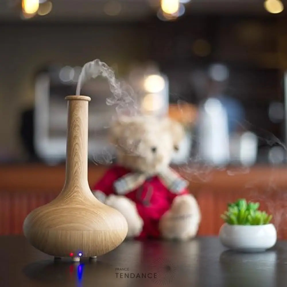 Diffuseur D’huiles Essentielles zen | France-Tendance