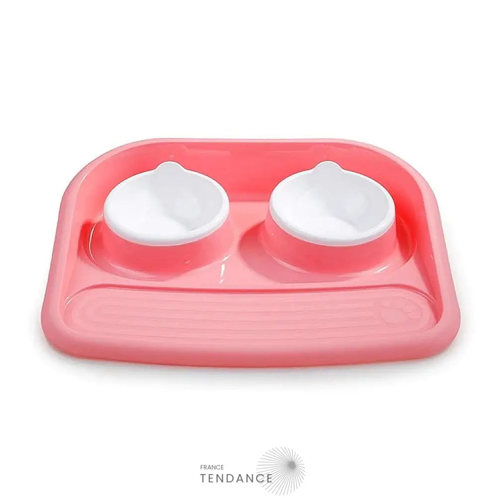 Double Gamelle Avec Plateau Pour Chat Et Chiot |