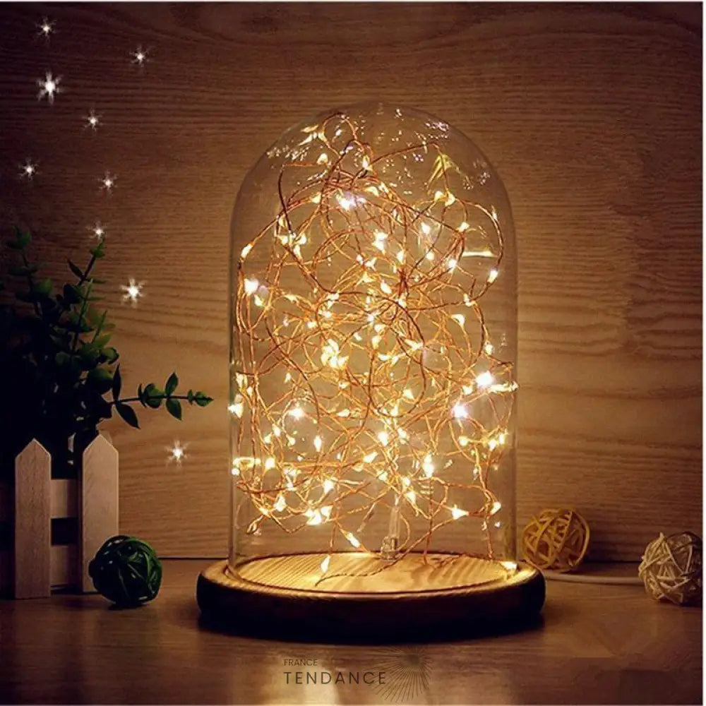 Guirlande De Noël Sous Dôme Modèle Large | France-Tendance