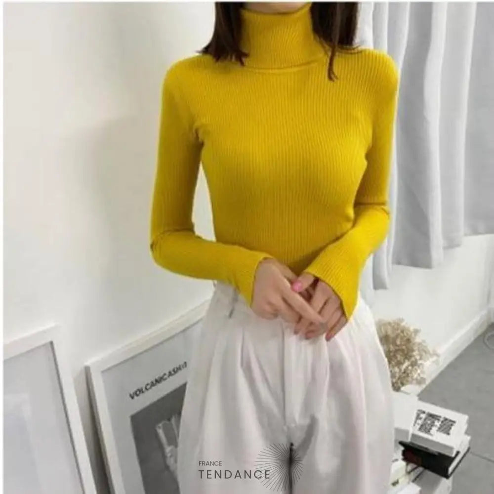 Pull Tricoté à Col Roulé | France-Tendance