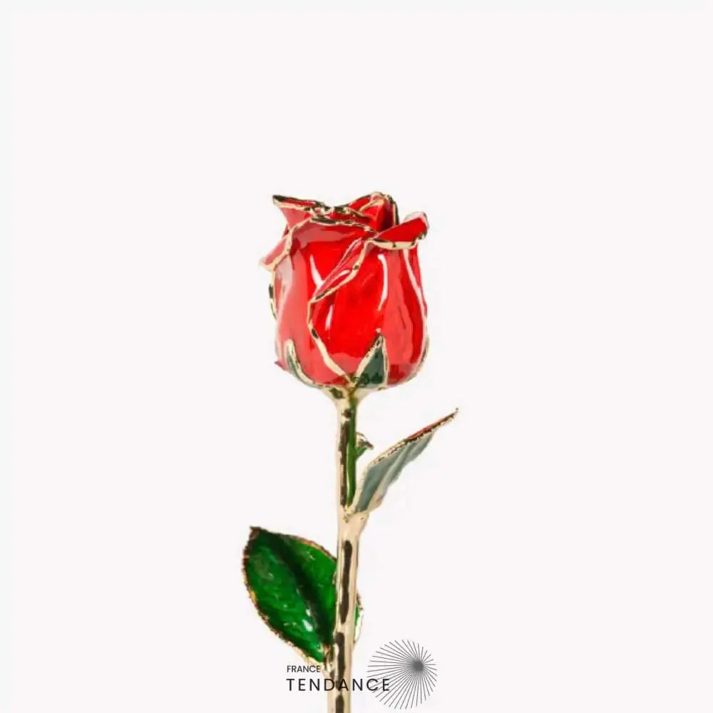 Rose En Or Rouge | France-Tendance