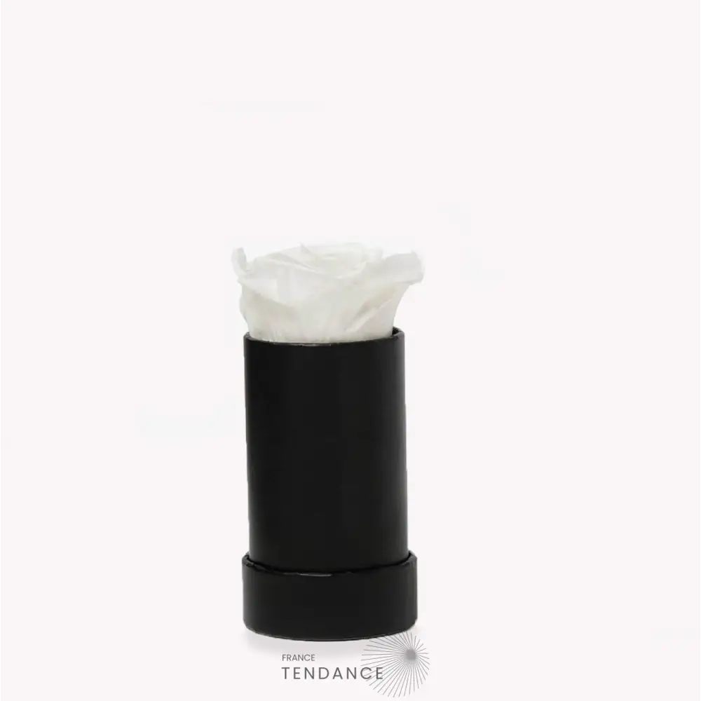 Rose Stabilisée Blanche Boîte Noire | France-Tendance