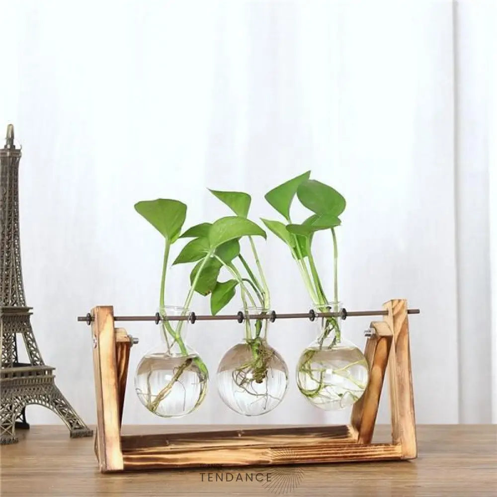 Terrarium Avec Support En Bois | France-Tendance