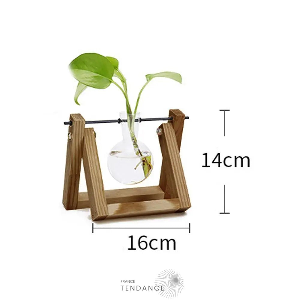 Terrarium Avec Support En Bois | France-Tendance