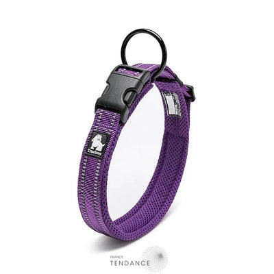 Collier Lumineux Réfléchissant Pour Chien | France-Tendance