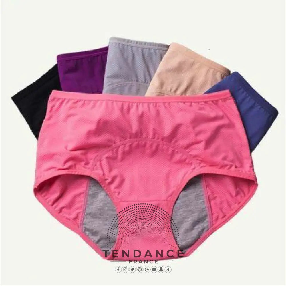 Culottes Menstruelles (lot De 3) | France-Tendance