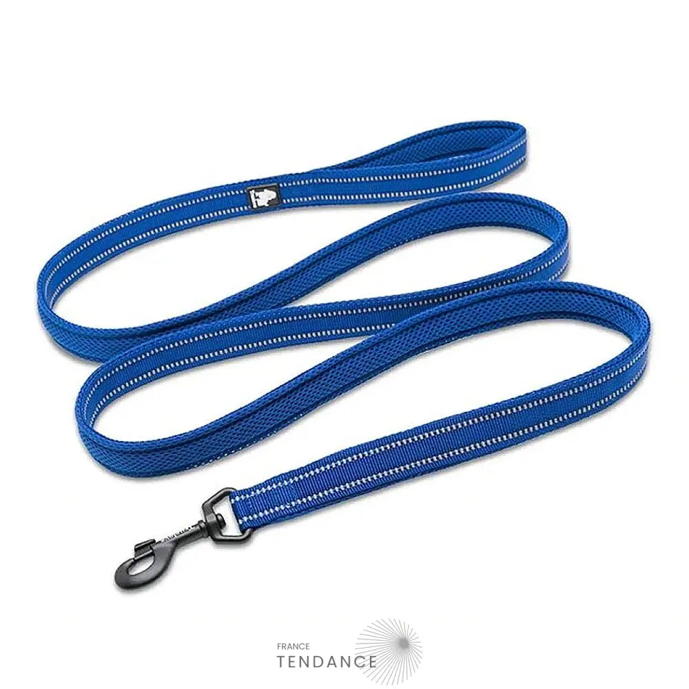 Laisse Lumineuse Réfléchissante | France-Tendance