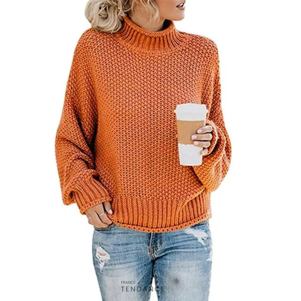 Pull Tricoté à Col Montant | France-Tendance