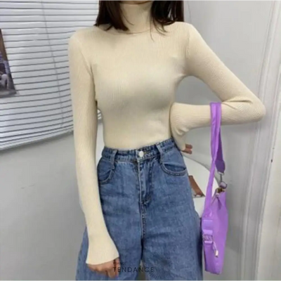 Pull Tricoté à Col Roulé | France-Tendance