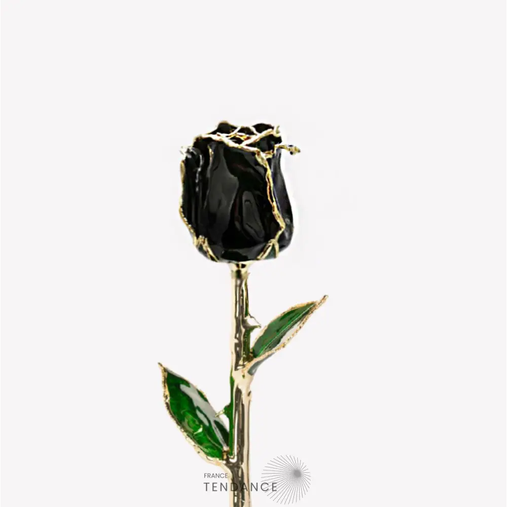 Rose En Or Noire | France-Tendance