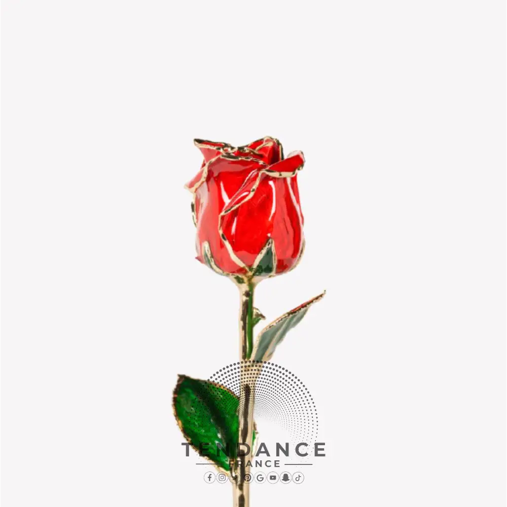 Rose En Or Rouge | France-Tendance