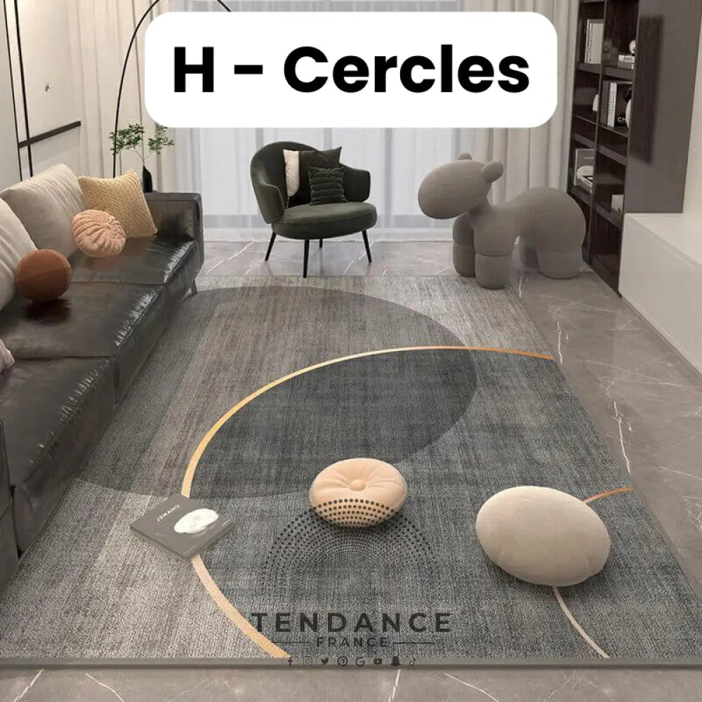 Tapis Magique Intachable | Incroyable Mais Vrai! H - Cercles / Paillasson (0.4X0.6M) Salon