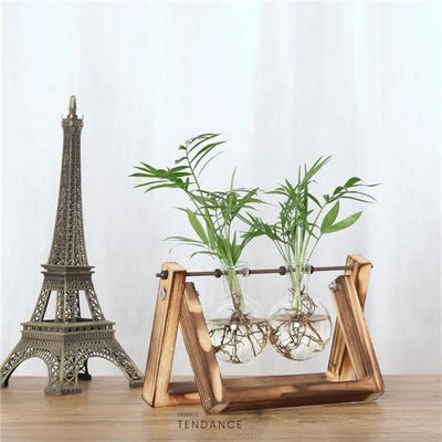 Terrarium Avec Support En Bois | France-Tendance
